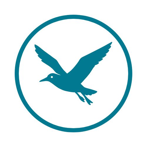 Seagull silhouette icon to represent Brighton & Sussex